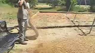 YardWorks preparing a playground.