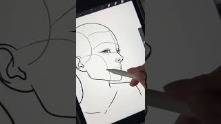 Portrait Procreate Brushes — Link in bio to download 1,400 brushes #procreate #portrait