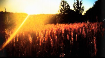 Hypnoxygen - Darkrelax (experimental,dark ambient,chillout,drone)