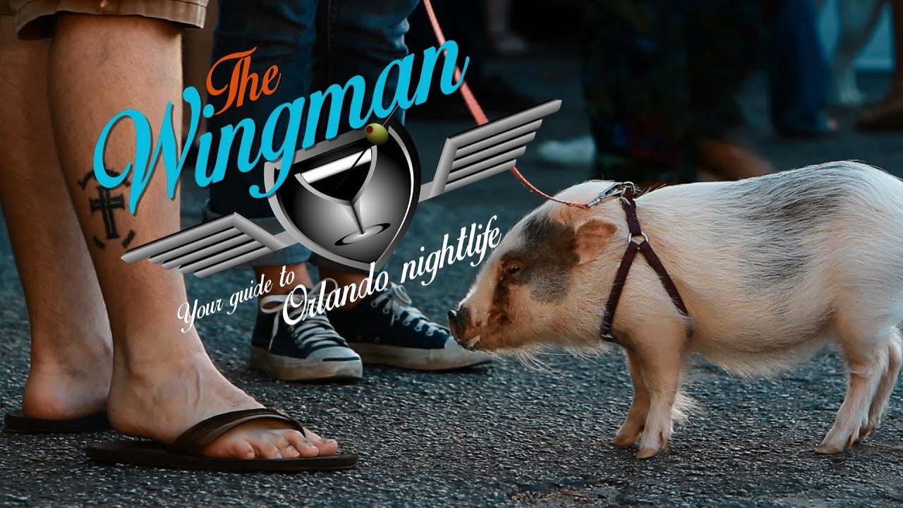 Wingman: Tasty Tuesdays in the Milk District