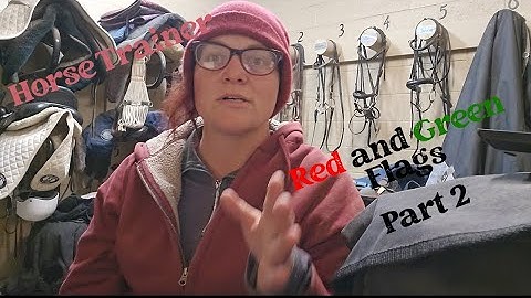 Horse Trainer: Red and Green Flags Part 2