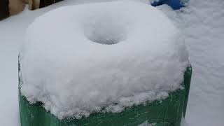 Pati Aso Ko Nag Enjoy Sa 1St.snow Ng Sokor2020