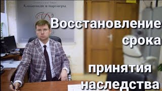 видео Иск о восстановлении срока для принятия наследства