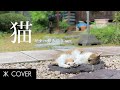 DISH//『猫』ギター弾き語りカバー