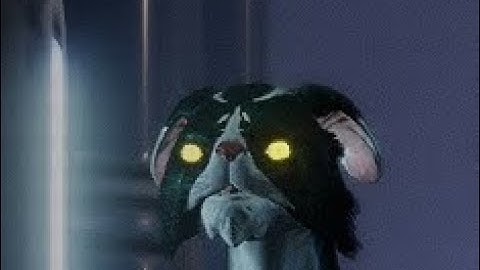 Warframe: Kavat Sense Danger Mod Bug