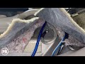 Middle of video