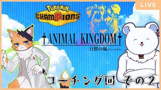 【ポケモンチャンピオンズ】大会に向けてコーチング回その２！ #双龍門2nd