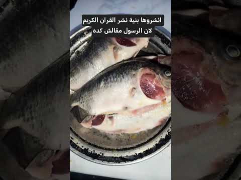 سمك لايك دويتو ترند الجزائر العراق اكسبلور مصر المغرب اشتركو عشاءلذيذ  