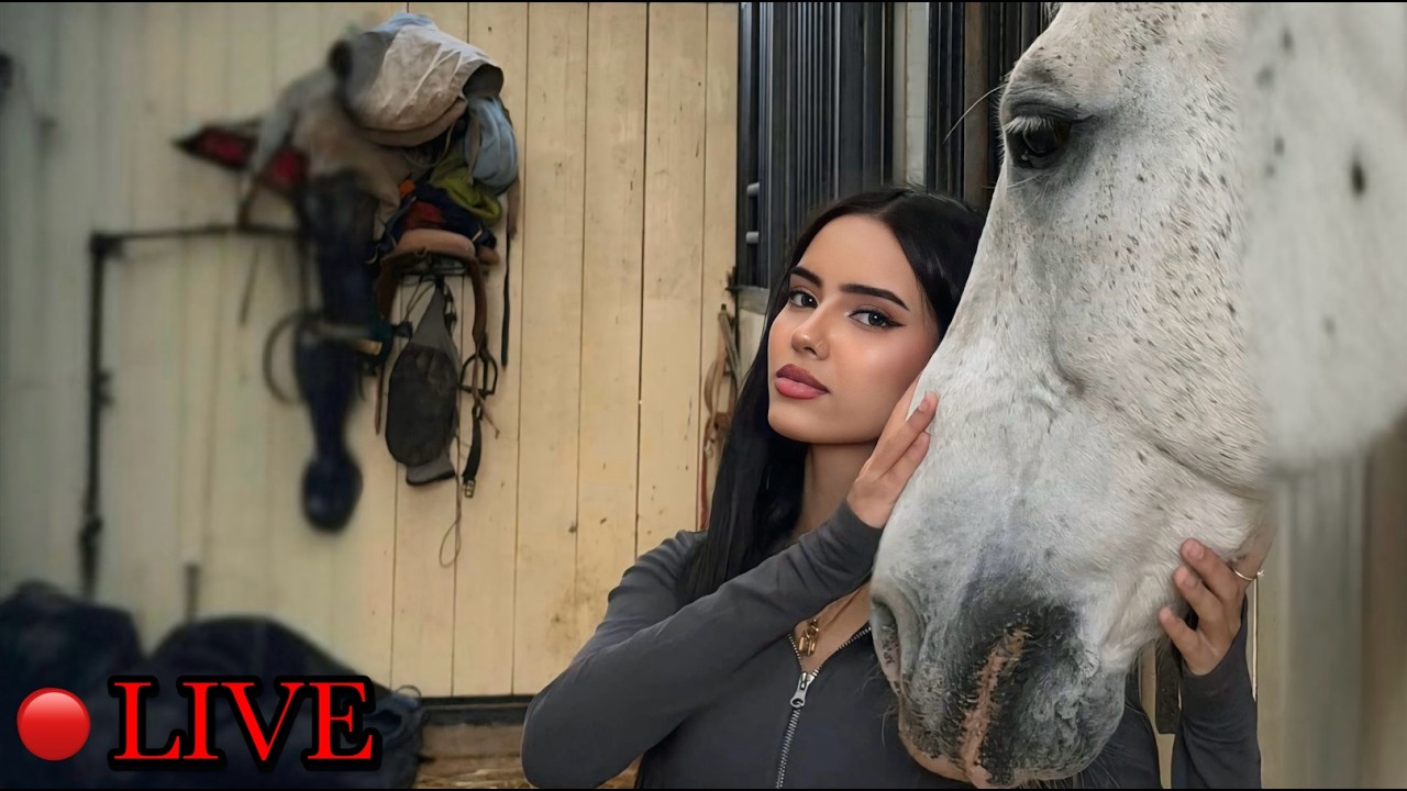 لايف هيام ~ 𝐇𝐚𝐘𝐚𝐌 𝐋𝐈𝐕𝐄