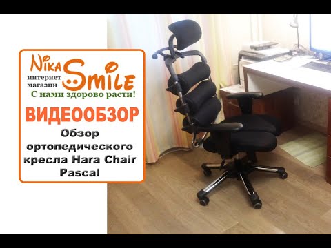 Обзор ортопедического кресла Hara Chair Pascal - YouTube