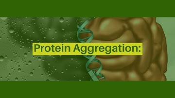 Protein Aggregation Are gut microbes the cause of protein aggregation in neurodegenerative diseases?
