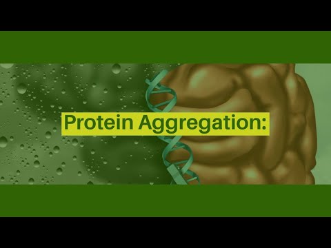 Protein Aggregation Are gut microbes the cause of protein aggregation in neurodegenerative diseases? - video from Atrantil