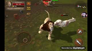 Ultimate Lion Simulator Walkthrough/Gameplay Part 1 screenshot 3