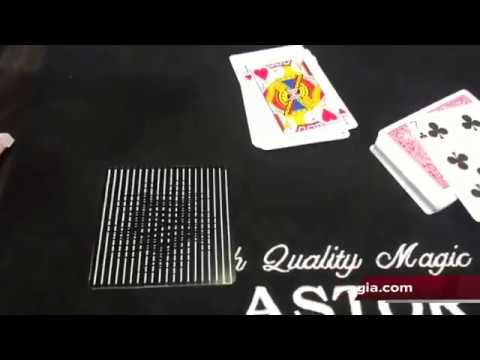 Predicción Código Cebra video