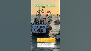 UNDER THE SAME SKY by AI MUSIC STUDIO #music #viral #indonesia #brunei #song #singapore #thailand