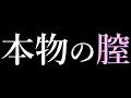 【童貞卒業】マジでリアルの膣に似ているオナホをオナホ中毒者の僕がご紹介///【ずんだもん】