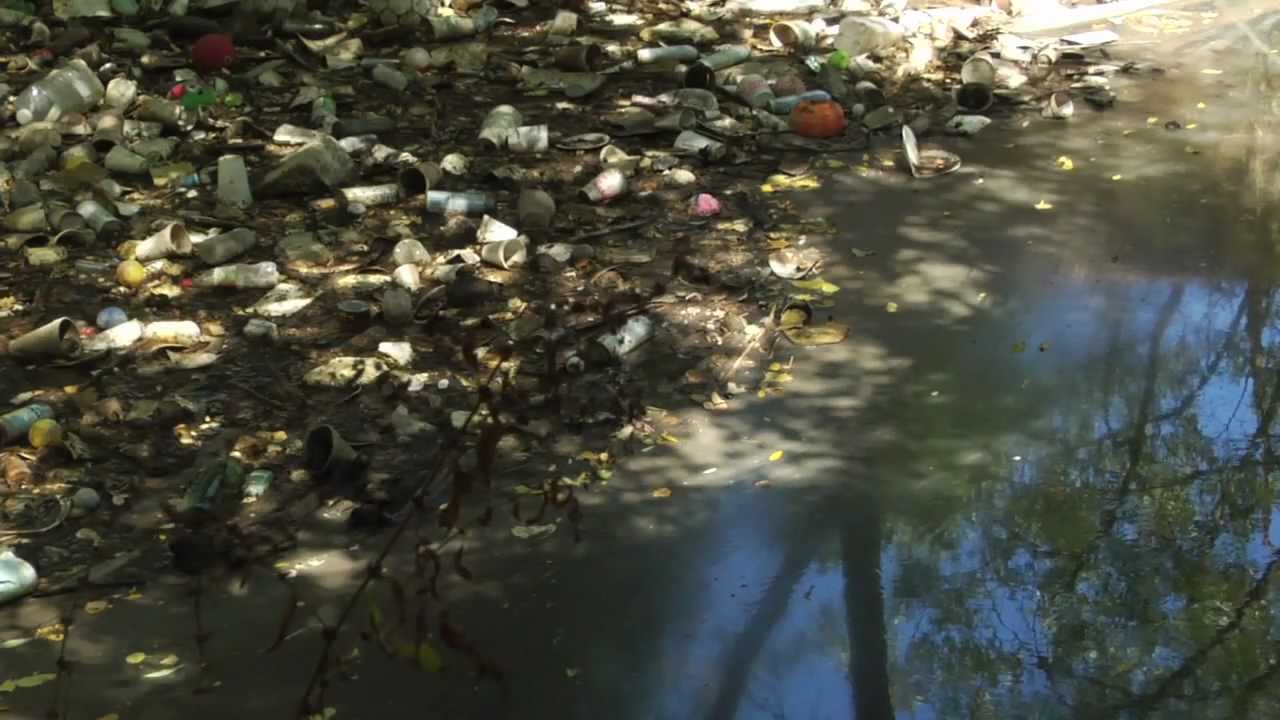 Get rid of Foam Pollution in California - Support SB 568 - YouTube