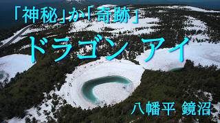 Dragon Eye ドラゴンアイ 神秘！か 奇跡！か ブルーな瞳
