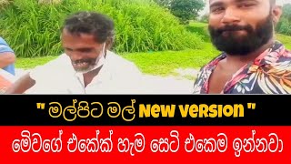 Malpita mal | මල්පිට මල් | New version | Sri lanka | Amal perera song