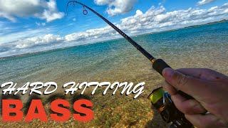Lure Fishing For Bass - My Favourite Lure Saved The Day!