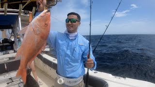 Offshore fishing snapper, king, ling/ cobia (part 1) freeport, tx
insane footage must watch! - 4k