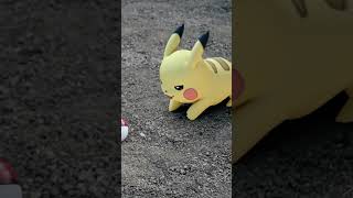 The Hunt For Pikachu Pika Pika Pikachu In Real Life