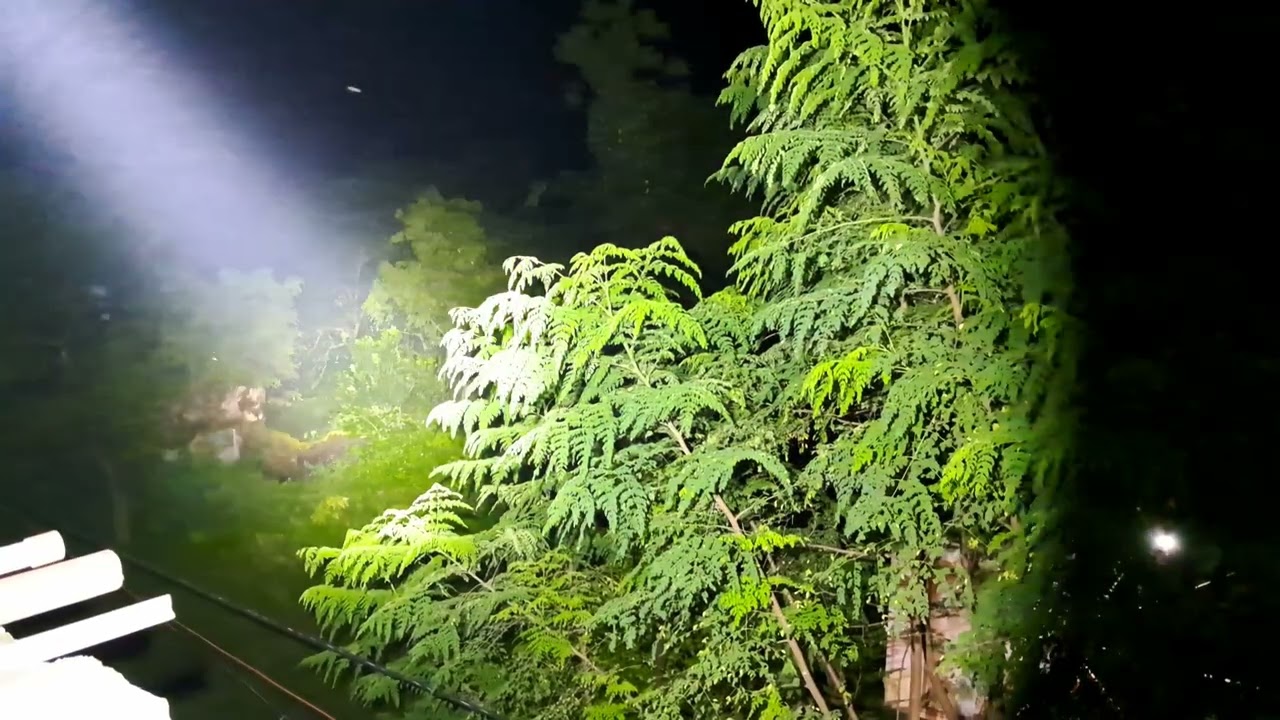 COMPARISON BETWEEN THE FENIX TK35R AND TK20R V2.0 