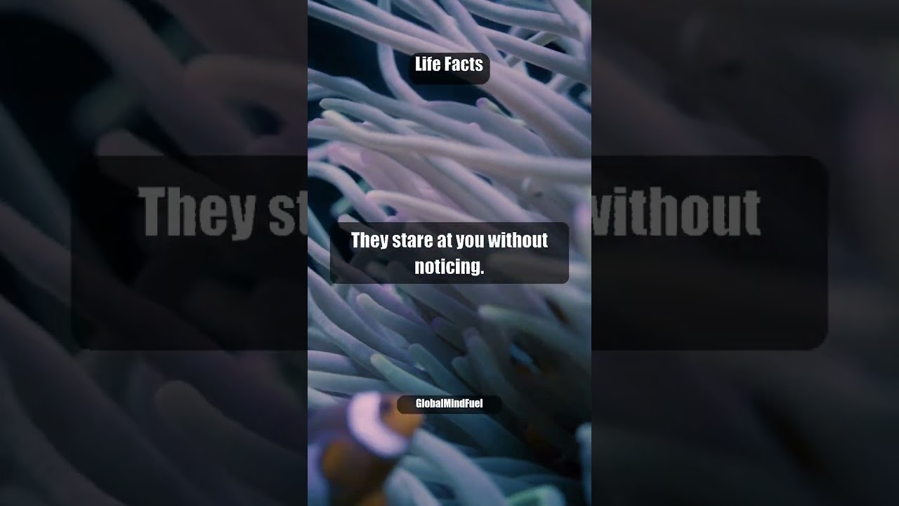 5 Signs They’re Quietly Obsessed With Your Presence 