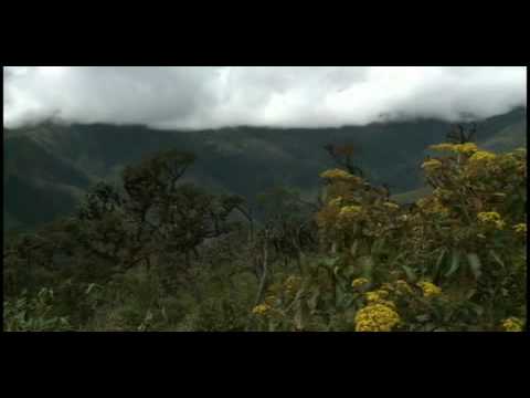 developmental Cobre de las Alturas