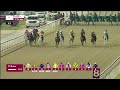 RM 31  Al Rayyan Race 7 -  Umm Al Zubar Cup