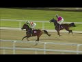 RM 31  Al Rayyan Race 7 -  Umm Al Zubar Cup