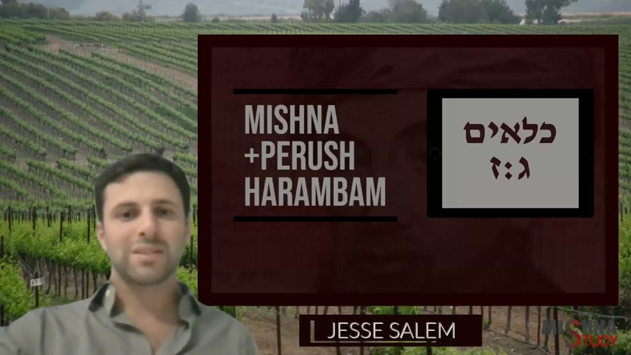 Kilayim 3:7 "Planting One Row of Gourd in a Grain Field" | Jesse Salem | Mishna Study