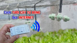 Cách tưới cây tự động qua mạng internet