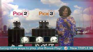 Pick Evening 20231130