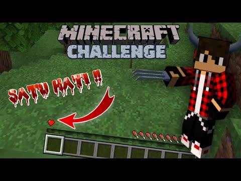 MINECRAFT BUT I ONLY HAVE ONE HEART !! ❤️ #MinecraftChallange