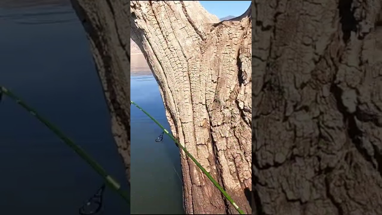 I CAUGHT MY PB CRAPPIE!! 