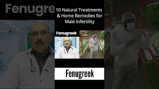 Fenugreek - 10 Natural Treatments for Male Infertility maleinfertility banjhpan fenugreek male