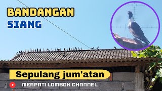 MENANGKAP BANDANGAN HITAM PUTIH DADA SEPULANG JUMATAN