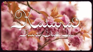 Katara there She Is Visual