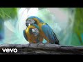 NiranjanHumbad I Know You Don T Want Me To Do Everything Marathi Lyric Video 