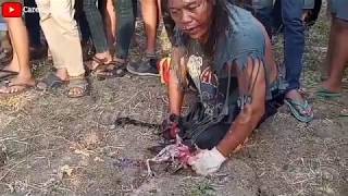 Download Lagu Mendem ebeg gatra kirana eps kalicupak kidul dalang djamin MP3