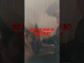 Rescue Belgian Malinois and 4k working line German Shepherd #team #pack #dog #pets #youtube #shorts