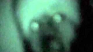 Espee Soundex Phonetic - I Am Alien Bassgun Records.wmv