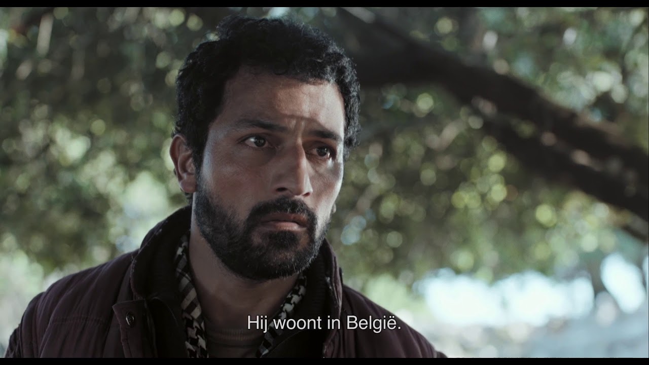 festival of lights Zagros - trailer | IFFR 2018
