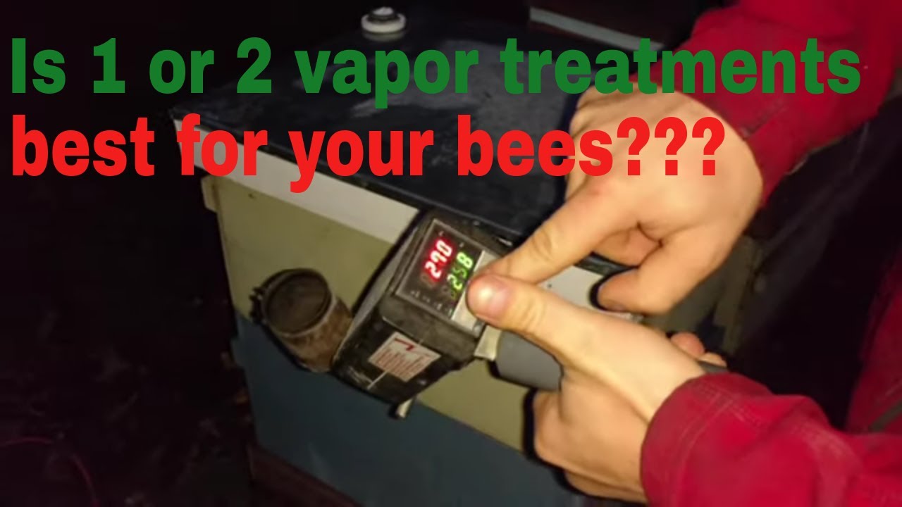 🔴Why we apply Oxalic Acid Vapor 2 times in winter every year!