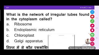 What is the network of irregular tubes found in the cytoplasm called?