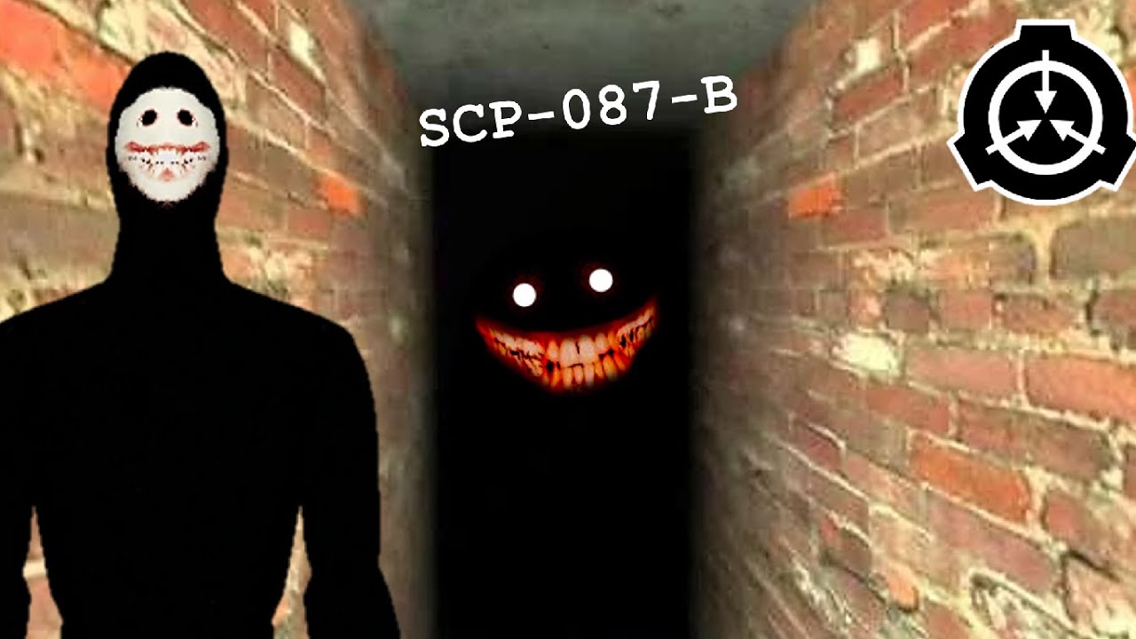 Scp 087
