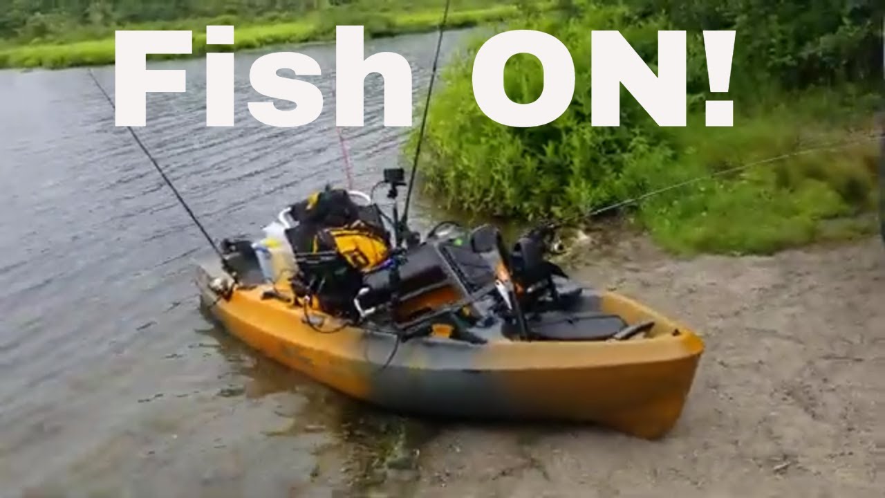 New Old Town Sportsman 106 PDL Pedal Kayak Rigged Up for Fishing YouTube