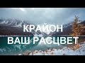 Только вы можете создать для себя все необходимое. Все созданное другими не будет подходить вам