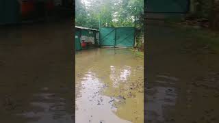 Gesgen Ferro Alloys LLP, Duliajan,Assam,India # heavy flood#
